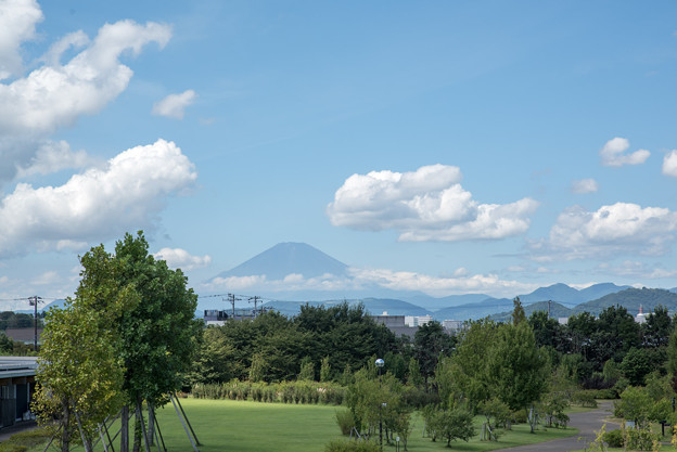 花菜ガーデン【9月の景色】2