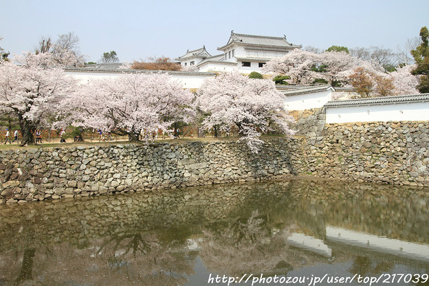 IMG_8170三国堀