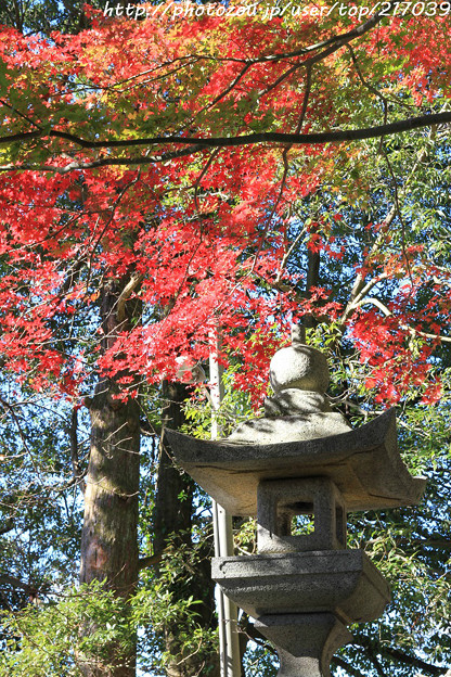 IMG_8718興志漏神社・灯籠といろは紅葉