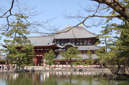 明日香・長谷寺 290