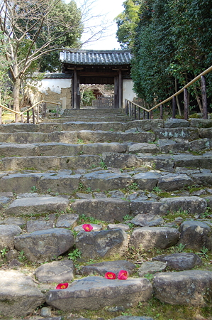 白豪寺