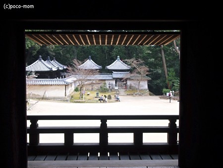 円教寺食堂から本多家廟屋をのぞむ2014年04月12日_P4120184