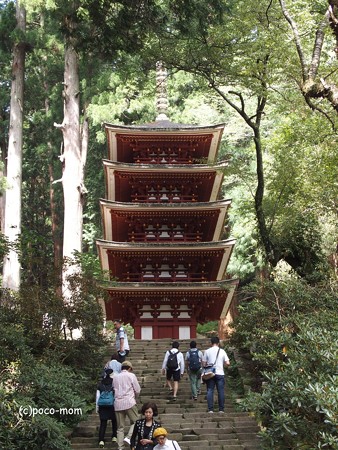 室生寺 五重塔