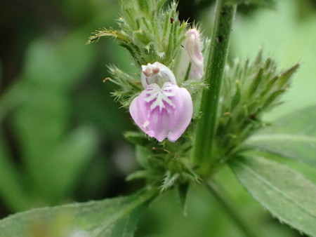 P9212975