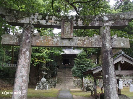 雷山雷神社 PA120370