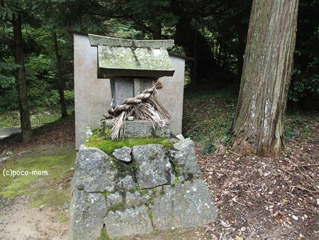 雷山雷神社 中宮 PA120384