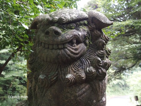 雷山雷神社 狛犬 PA120388