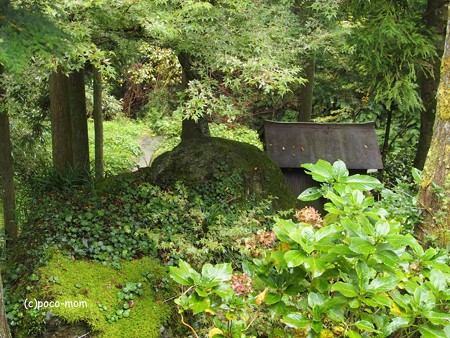 雷山雷神社 白蛇石と磐座PA120410