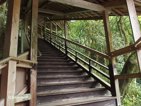 福岡県糸島市 雷山観音 PA120429