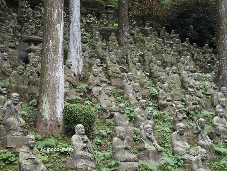 雷山観音 五百羅漢 PA120438