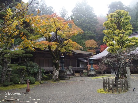 高野山光台院 PB020458