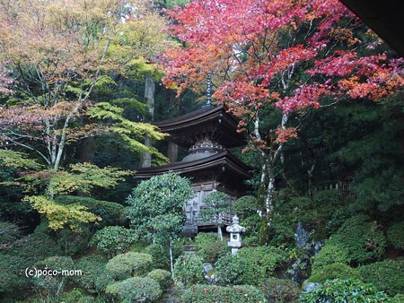 光台院 多宝塔 PB030484