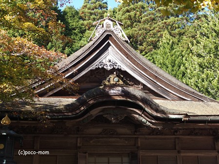 光台院 本堂 PB030540