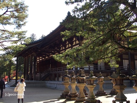 高野山根本大塔 金堂 PB030634