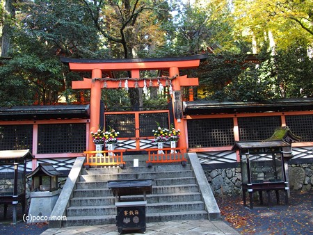 高野山壇上伽藍 御社 PB0306541