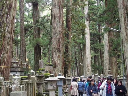 高野山 奥の院 PB030682