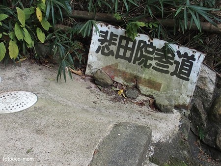泉涌寺塔頭悲田院 PB010137