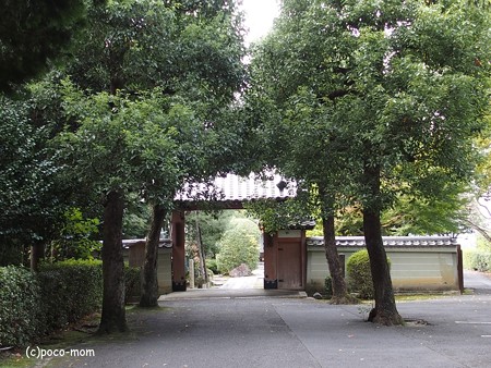 泉涌寺塔頭悲田院 PB010144