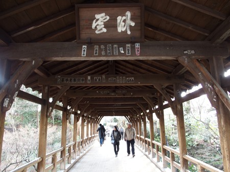 東福寺 P1110125