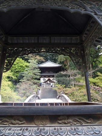 知恩院 P4080977