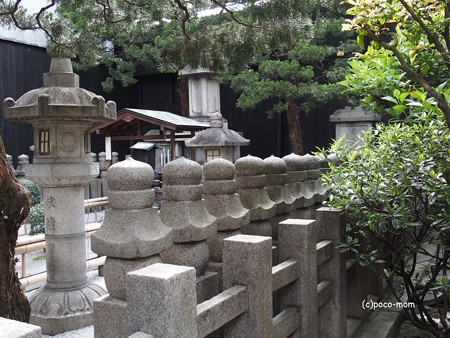 瑞泉寺花まつり P4081075