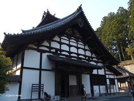 瑞巌寺 P4280193