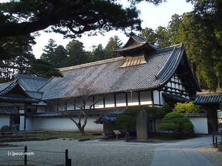 瑞巌寺 P4280197