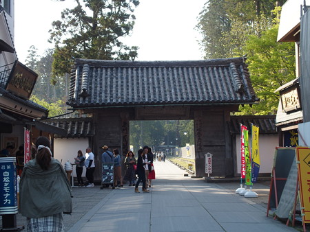 P4281454