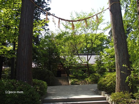 仙台 大崎八幡宮 P4290371