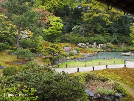青蓮院 相阿弥の庭P4140163