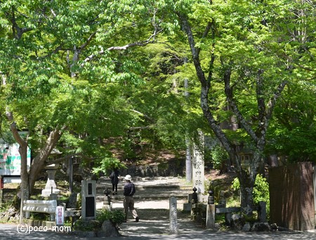 山科毘沙門堂 DSC_0229