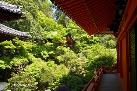 山科毘沙門堂 DSC_0247