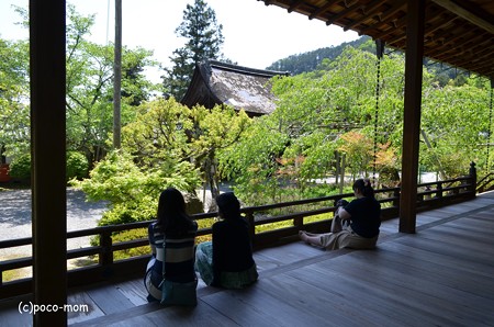 山科毘沙門堂 DSC_0254