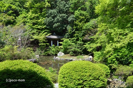 山科毘沙門堂 DSC_0257