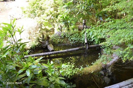 山科毘沙門堂 DSC_0260