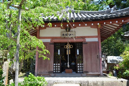 山科毘沙門堂 DSC_0279 (2)