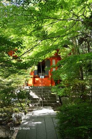 山科毘沙門堂 DSC_0284
