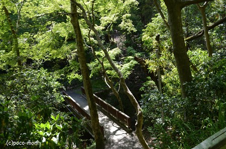 山科聖天堂