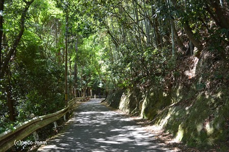 山科聖天堂 DSC_0297