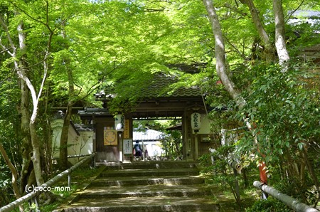 山科聖天堂 DSC_0300