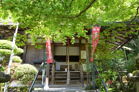 山科聖天堂 DSC_0303