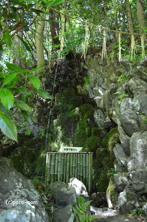 山科聖天堂 DSC_0311