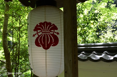 山科聖天堂 DSC_0313