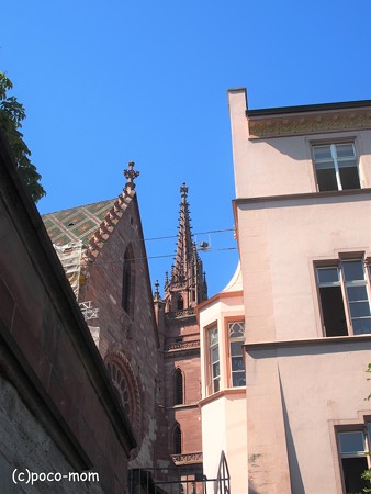 P1010098 (2)
