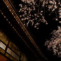 Photos: 桜と寺院