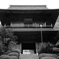 雲巌寺 山門