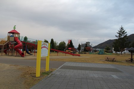 IMG_8311