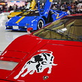 IMG_9294