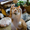 んむむむ！