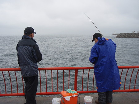 仲良く並んで釣ります6